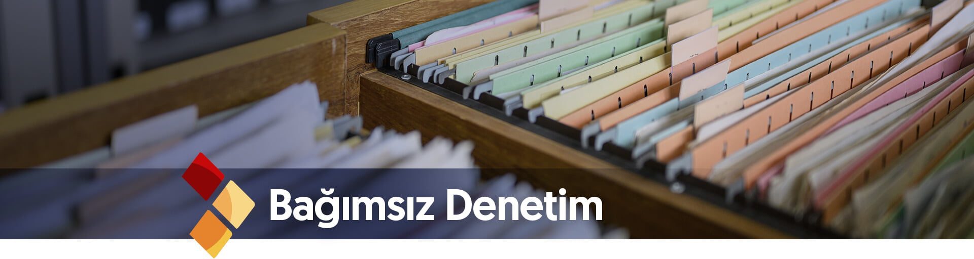 bagimsiz_denetim_2