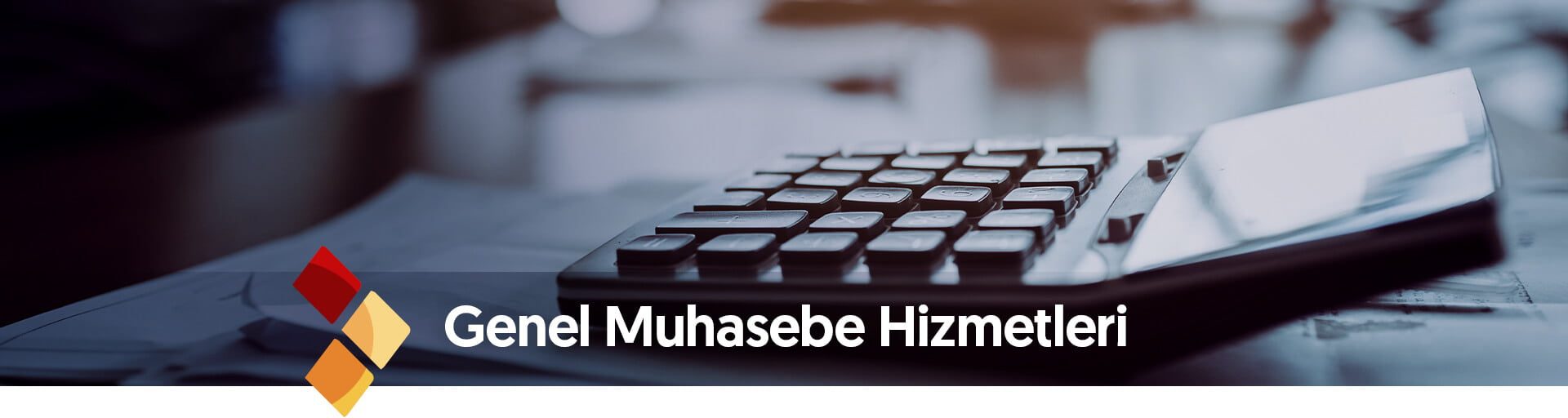 genel_muhasebe_hizmetleri