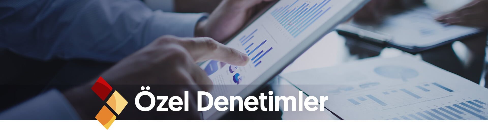 Özel Denetimler
