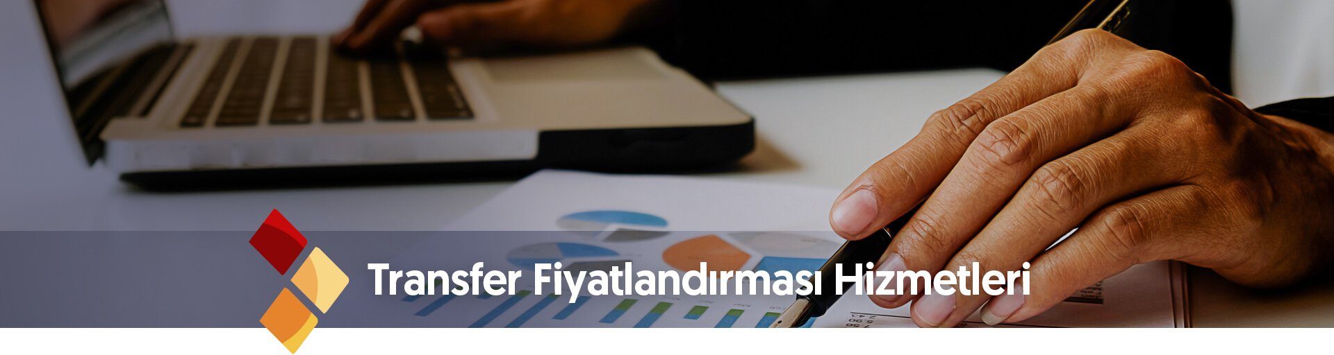 Transfer Fiyatlandırması Hizmetleri