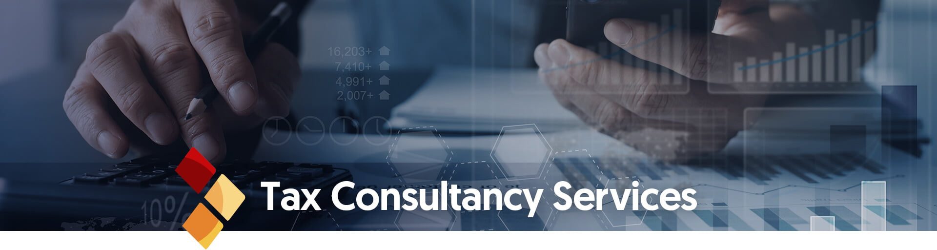 vergi_danismanligi_en